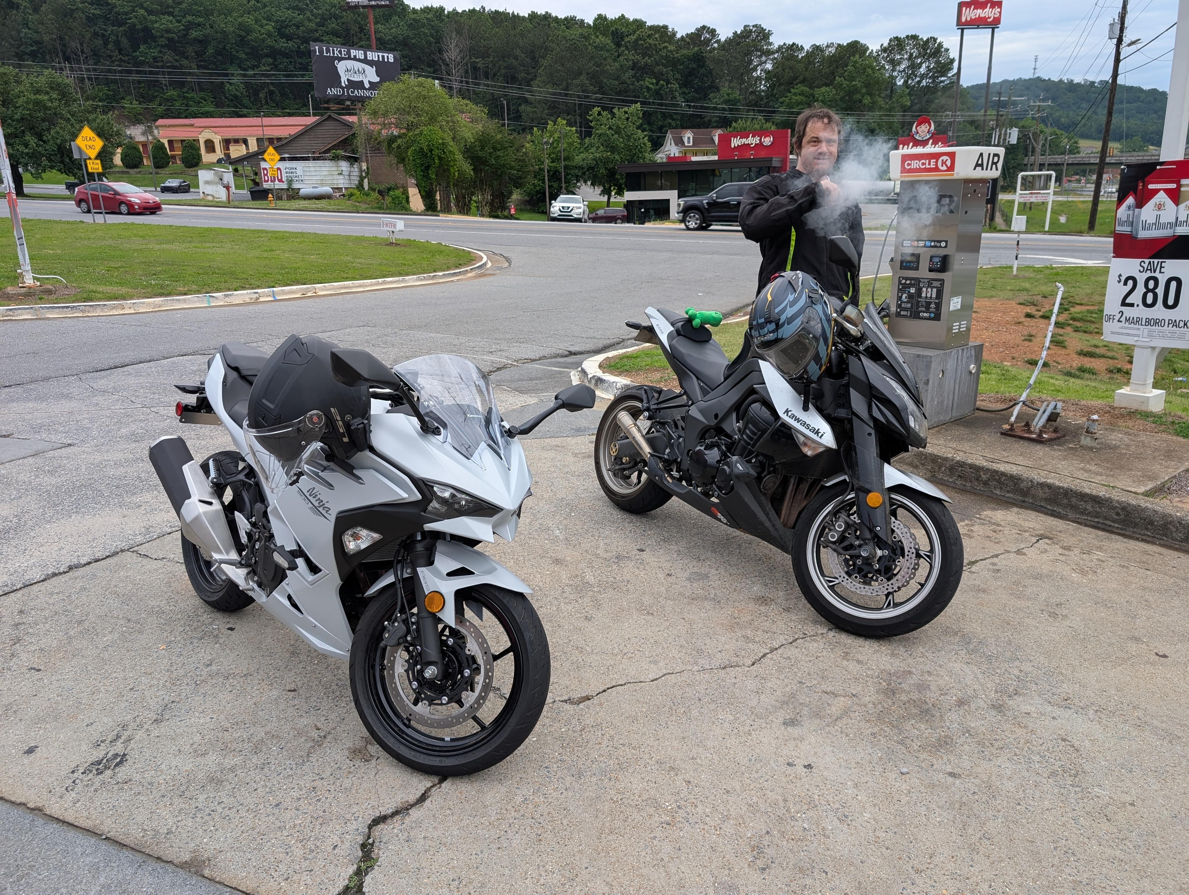 Our steeds